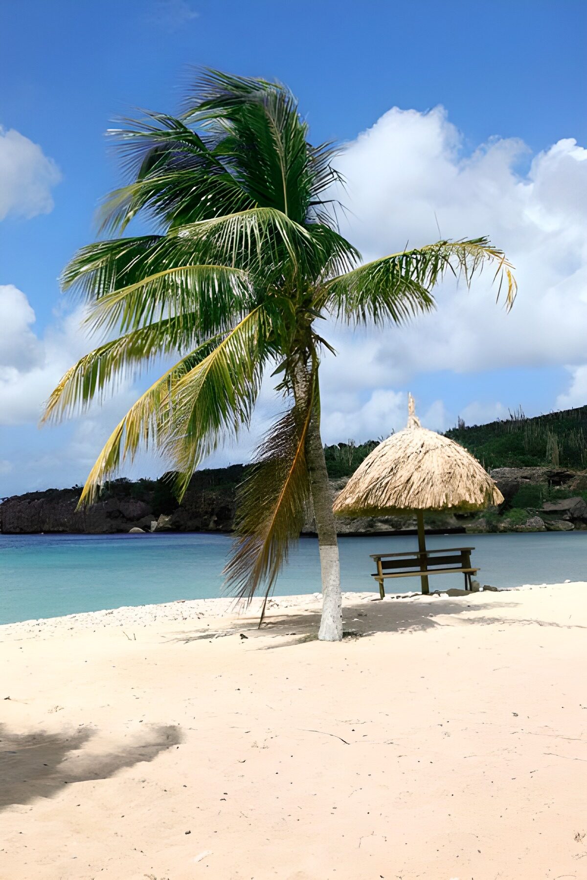 WCUK10589: Palm tree on white beach with parasol made of reed.