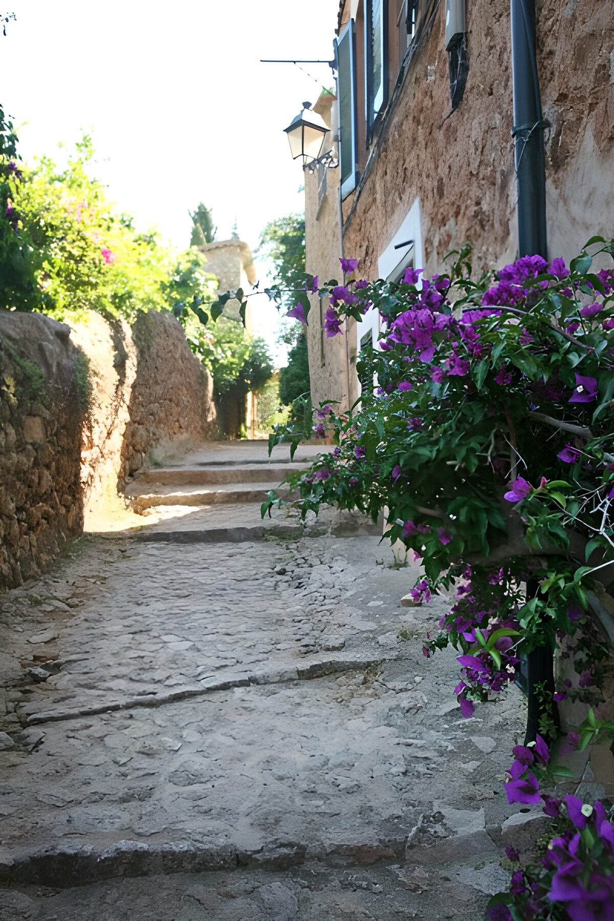 WCUK92906: Ascending steps to small street  with houses 7