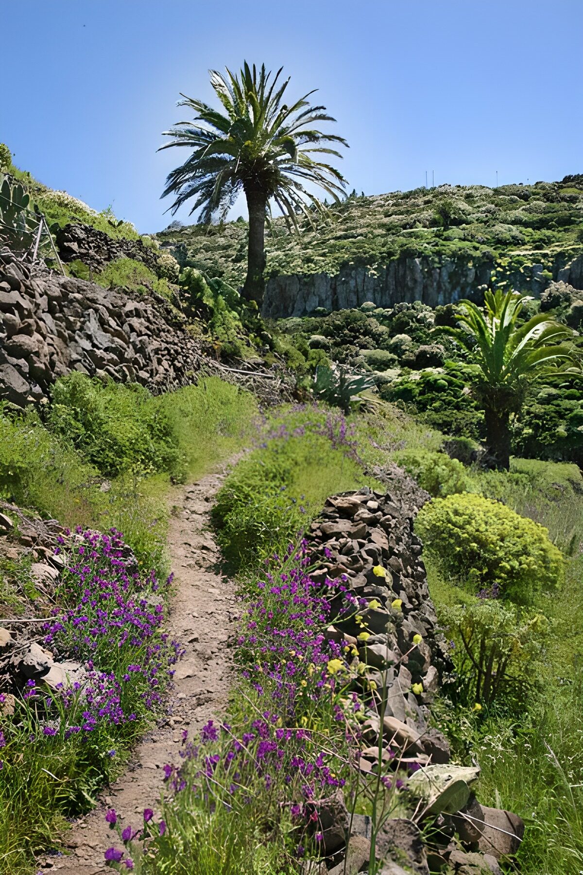 WCUK70751: La Gomera 36