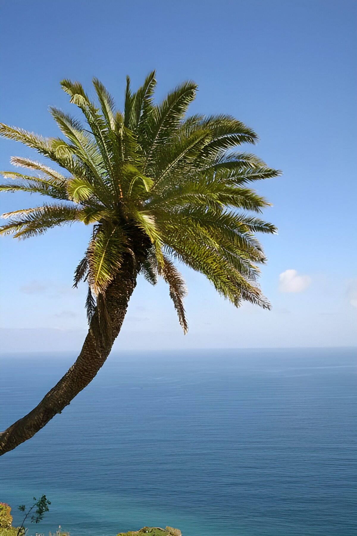 WCUK40956: La Gomera 24