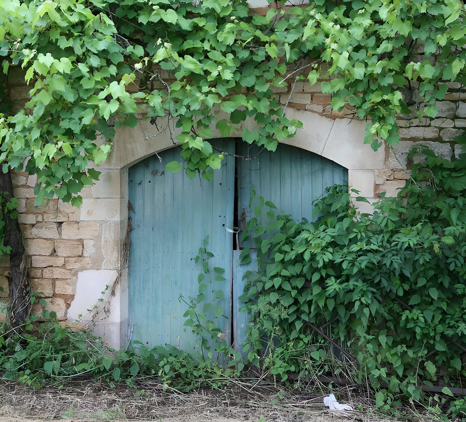 WCUK77327: French wall  with old blue door and vines
