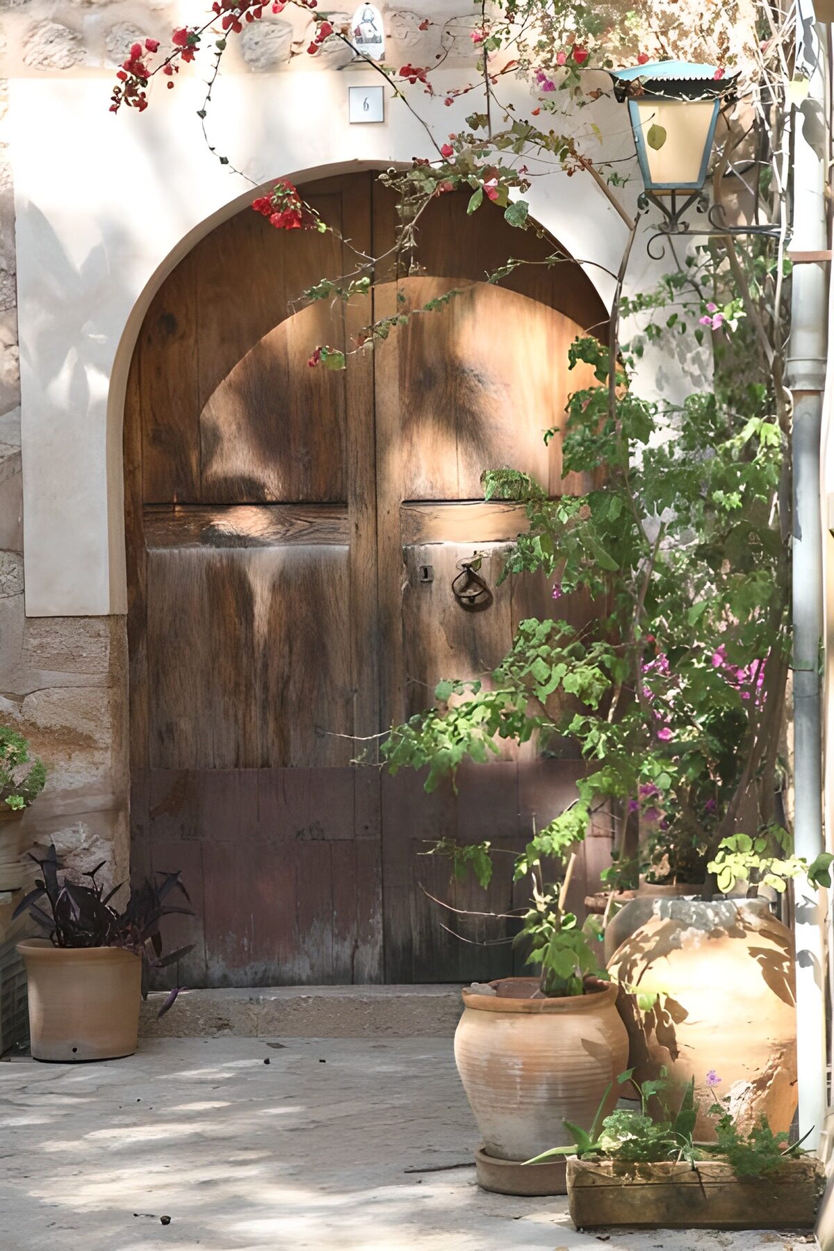 Large door with lantern and plants and pots 1