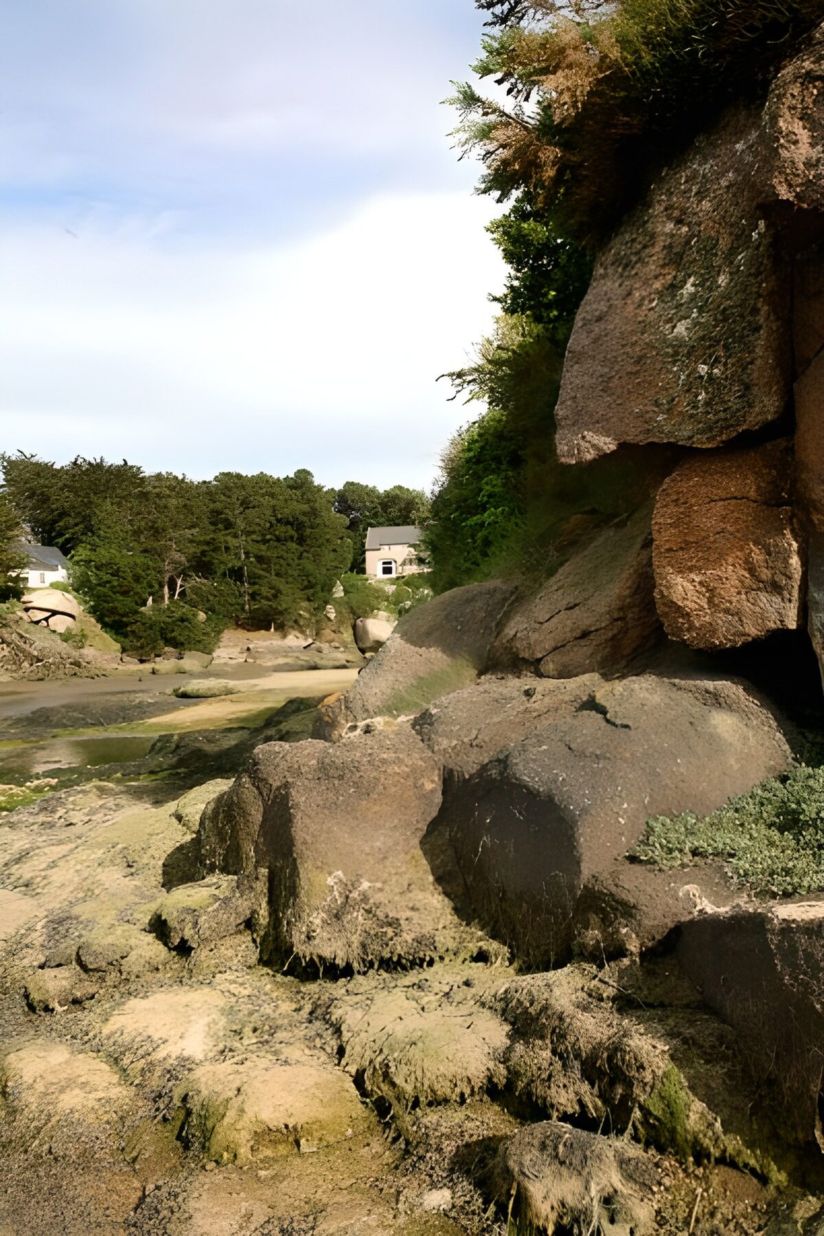 WCUK63984: View past the rocks with algae and foliage