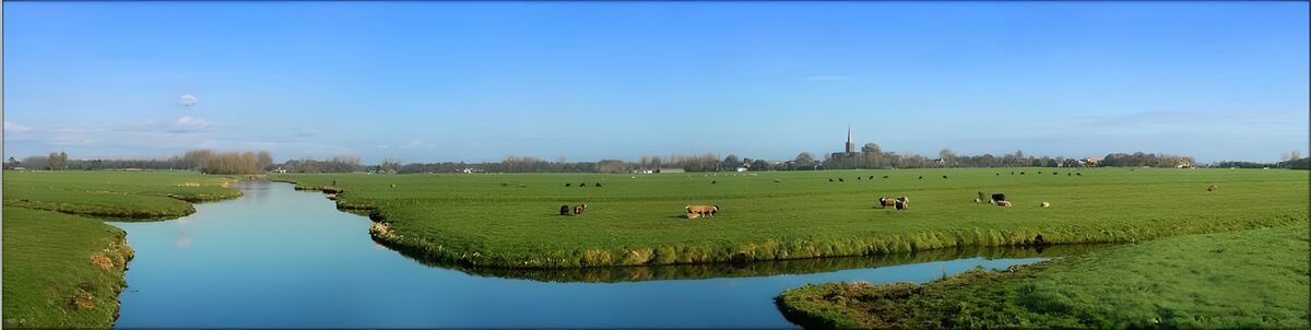 WCUK63201: Dutch meadow landscapes 11