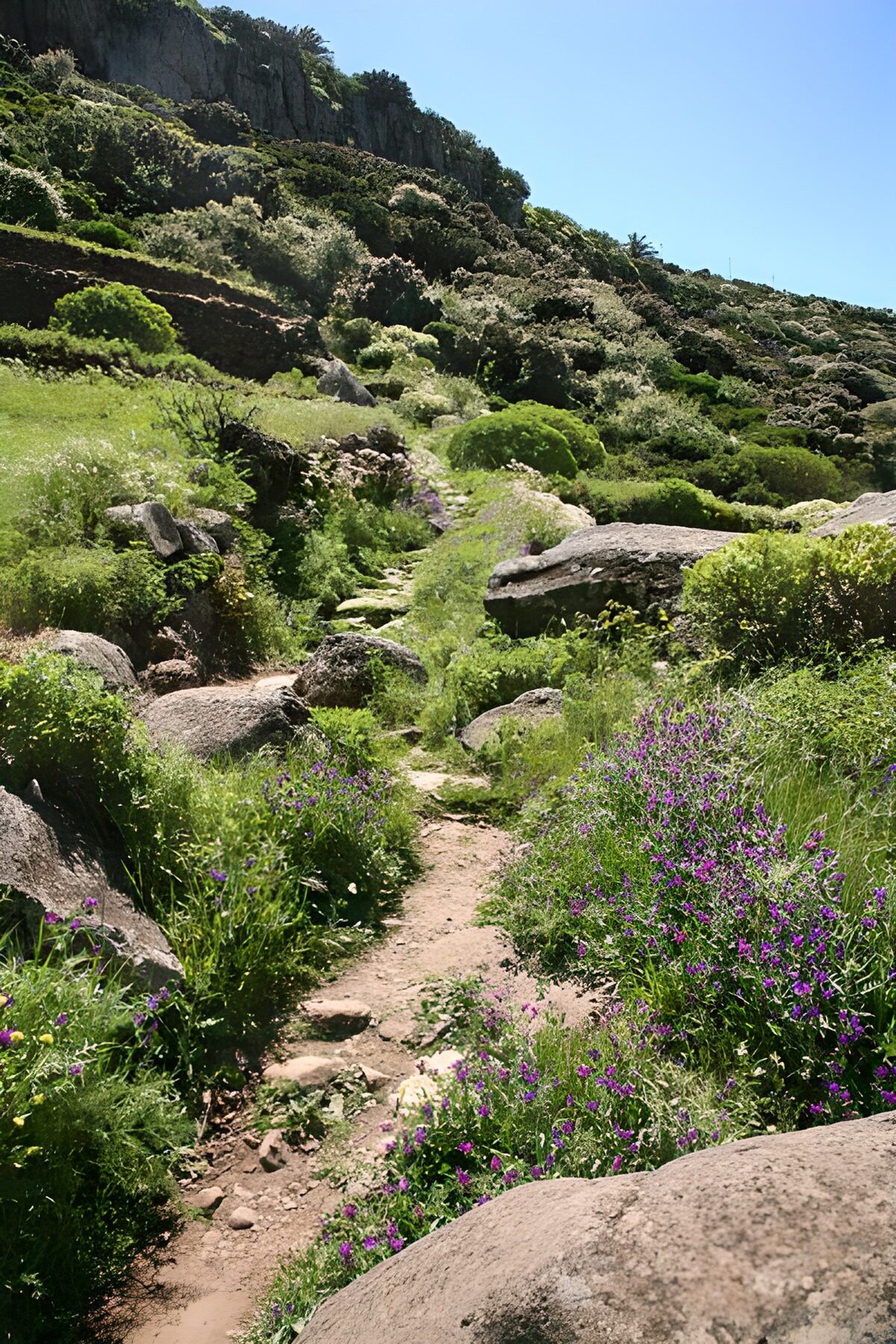 WCUK35938: La Gomera 44