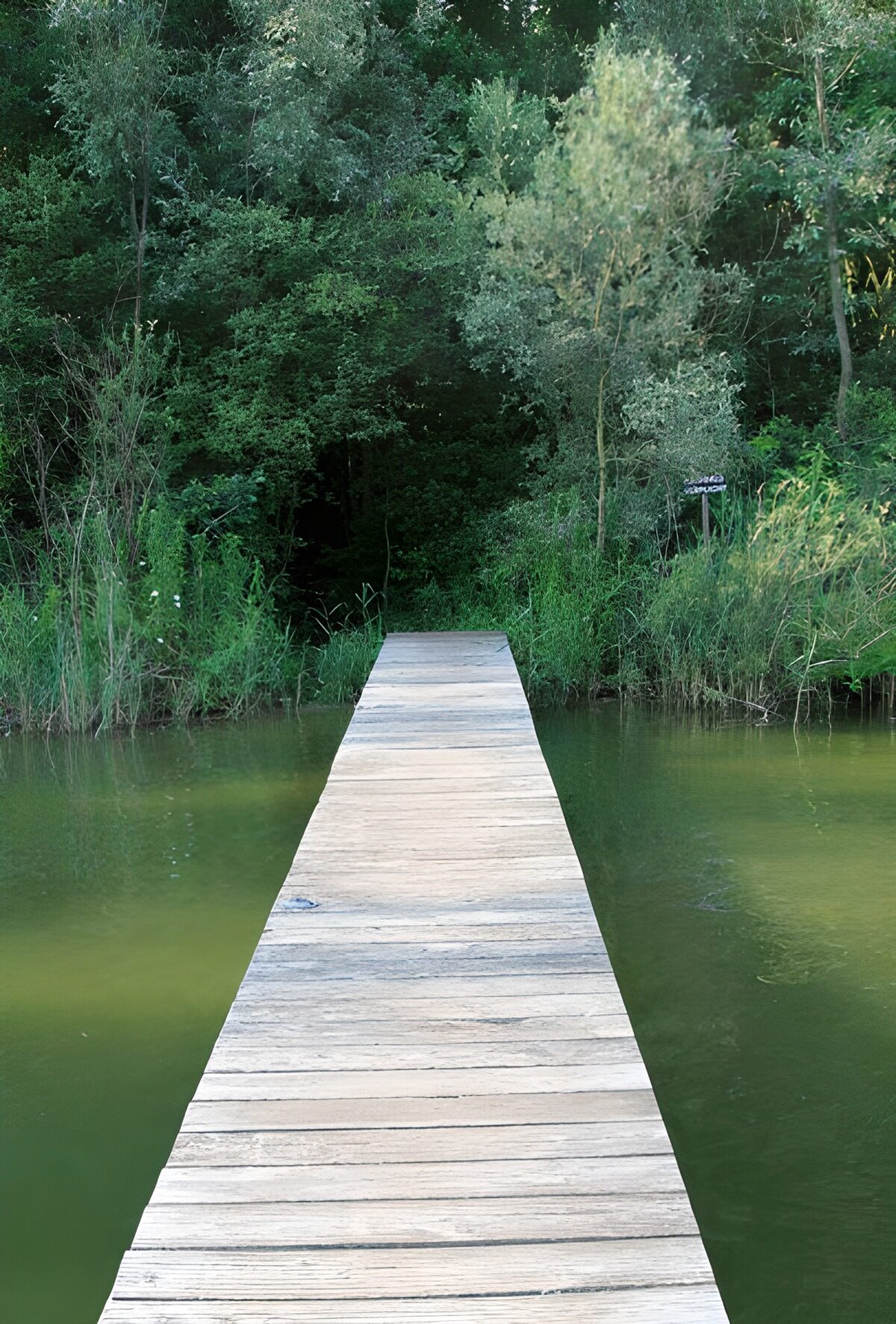 WCUK49838: Jetty across the water, direction forest