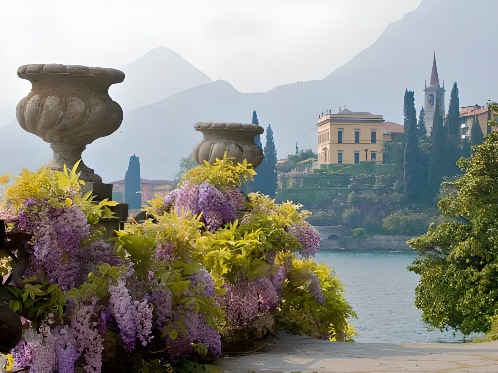 WCUK12676: Italian view with two old flower vases covered by blue Wisteria