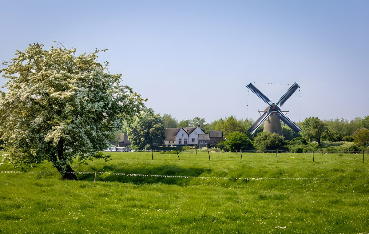 WCUK5965635