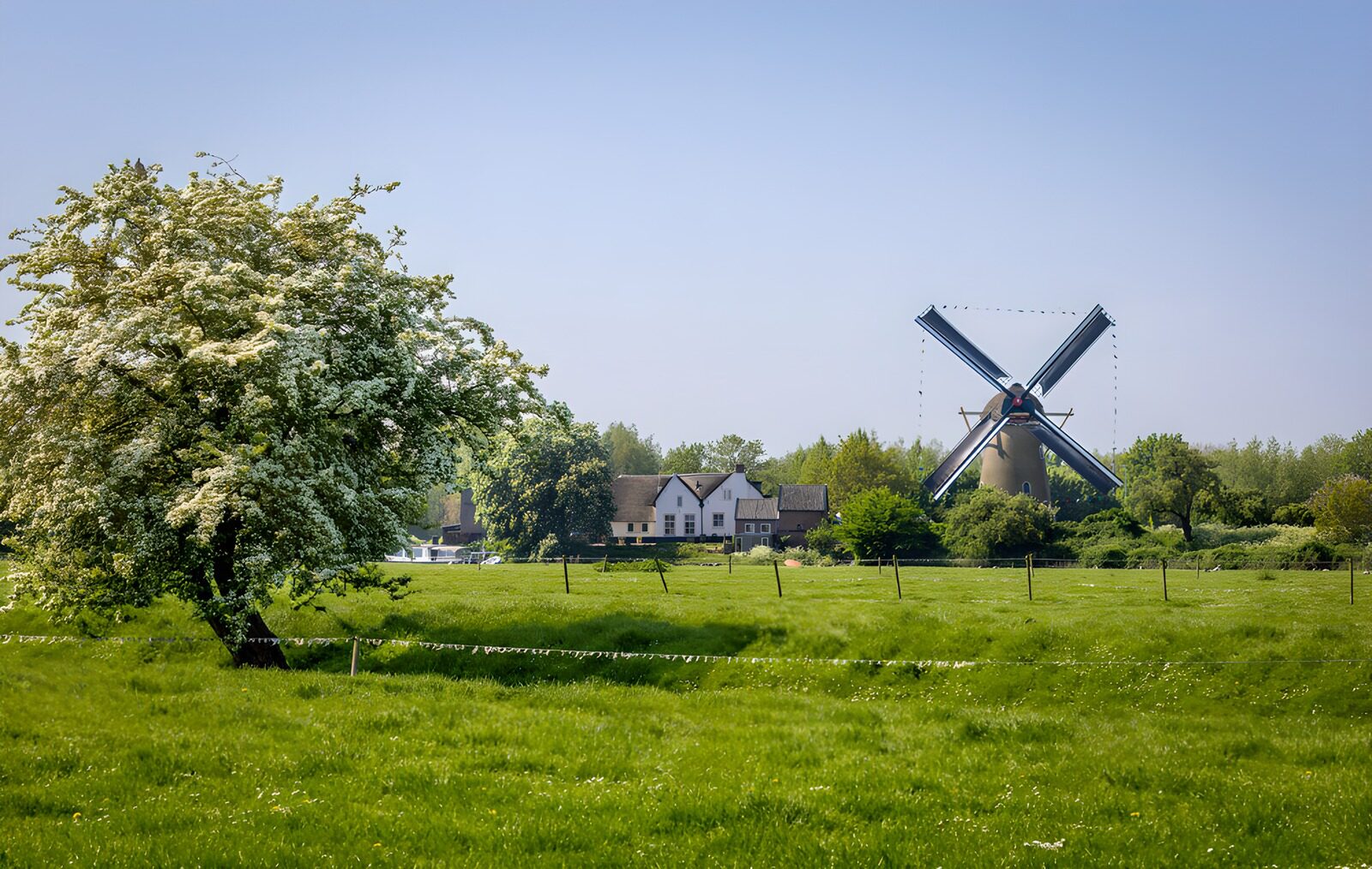 WCUK5965635