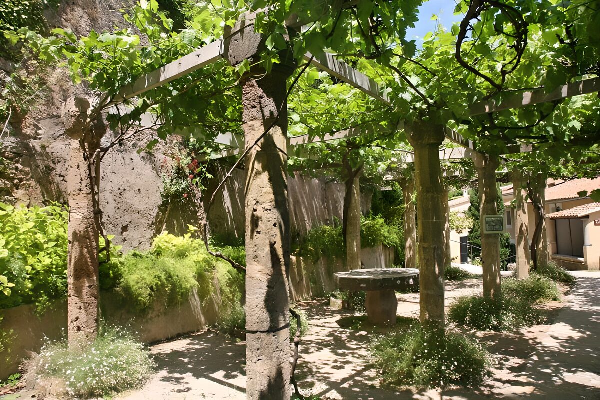 Old covered over terrace with pillars, vine leaves version1