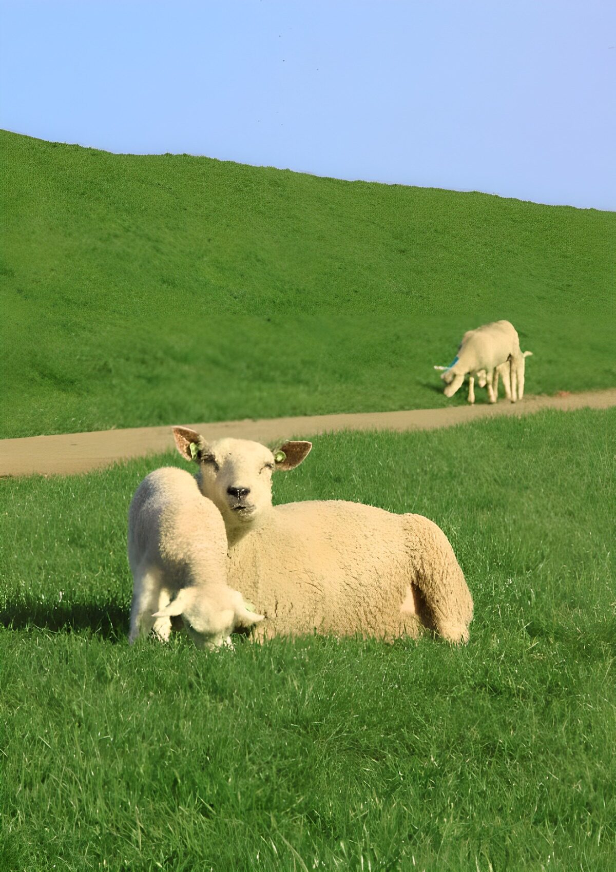 94448