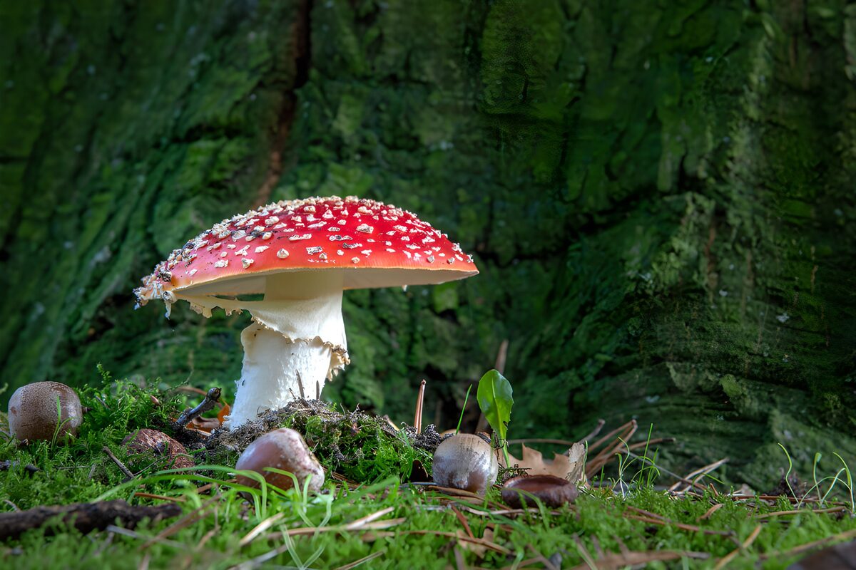WCUK3857988