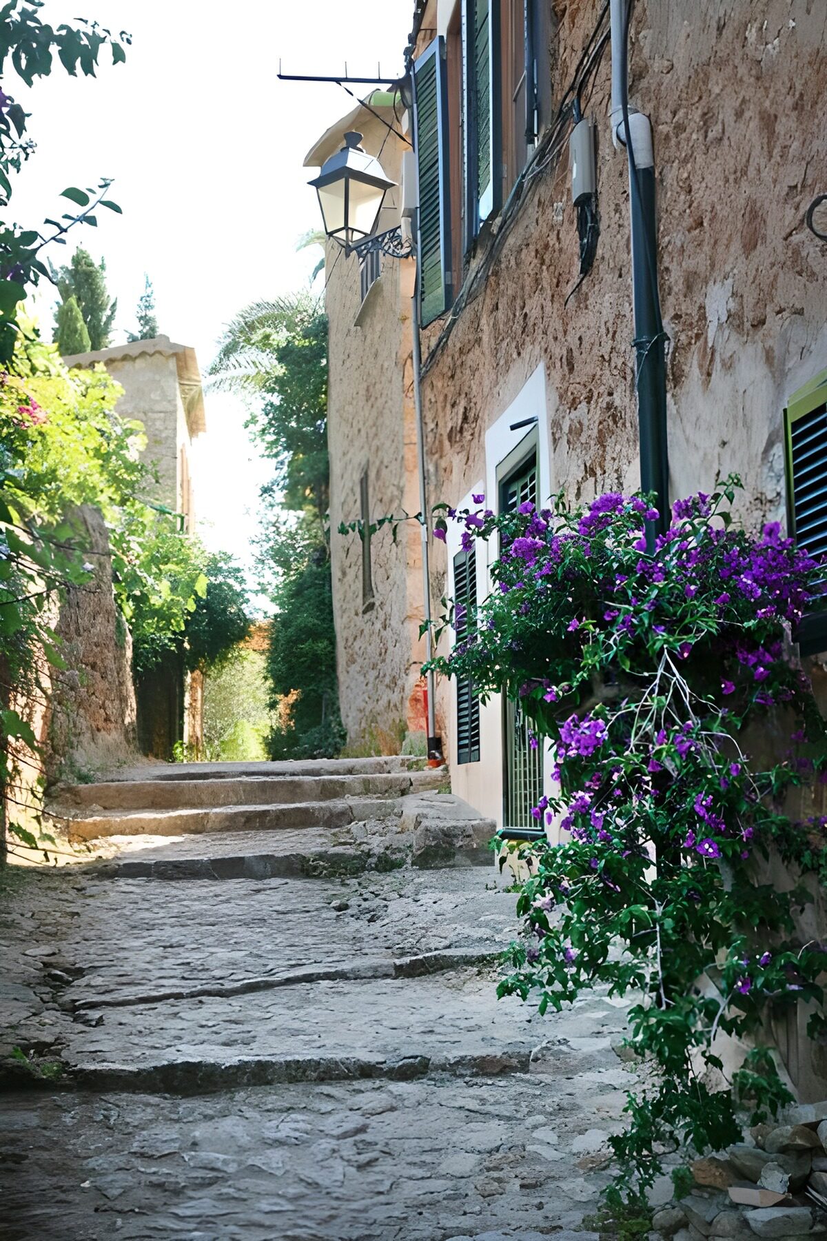 WCUK43320: Steps going up through narrow street with houses 6