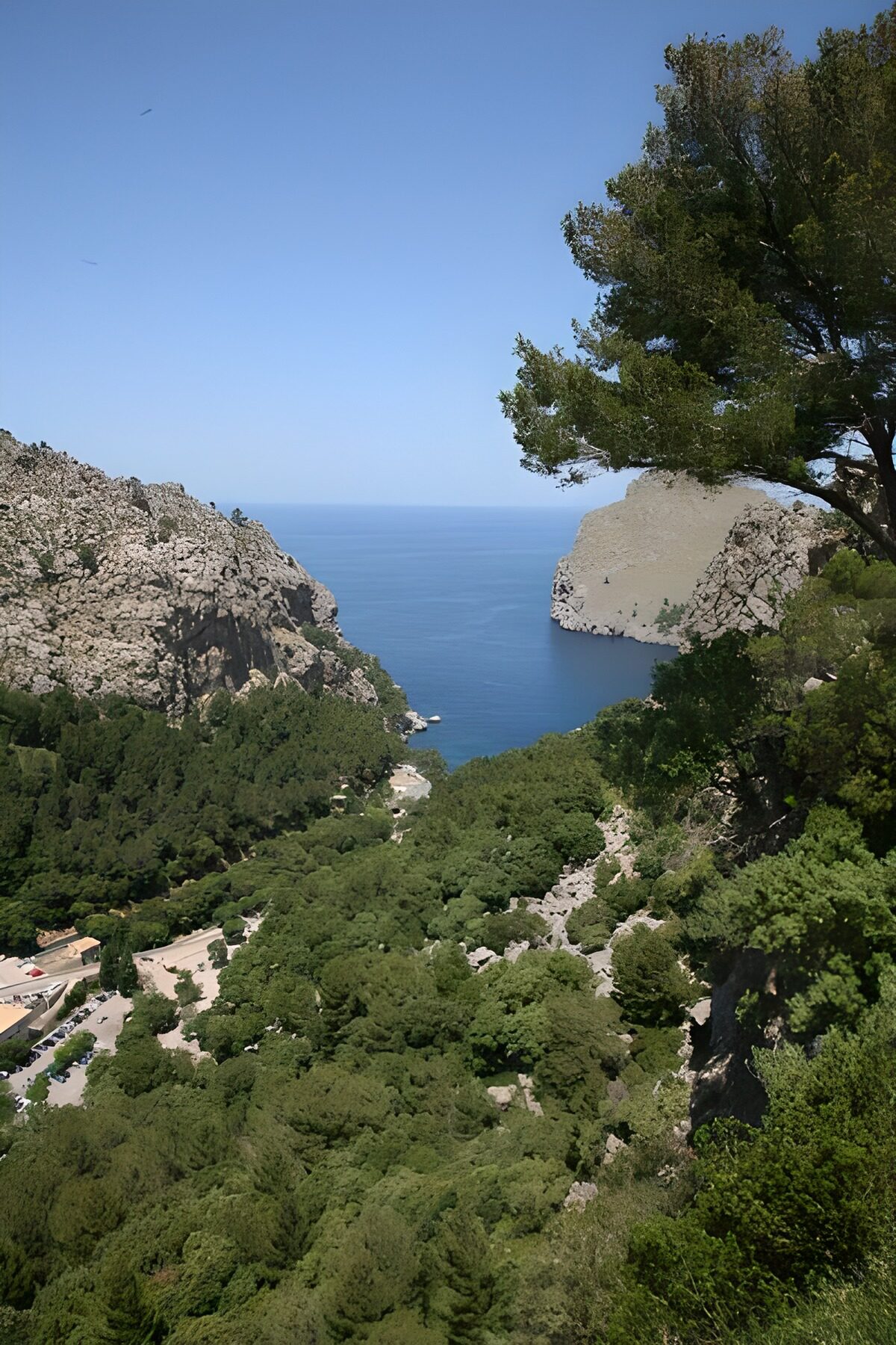 Panoramiv view across the sea, tree and bushes 3