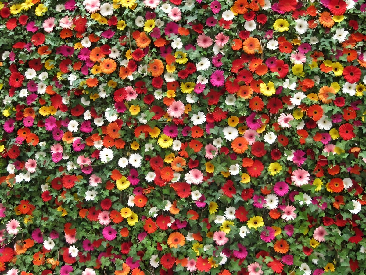 WCUK96233: Wall with flowers