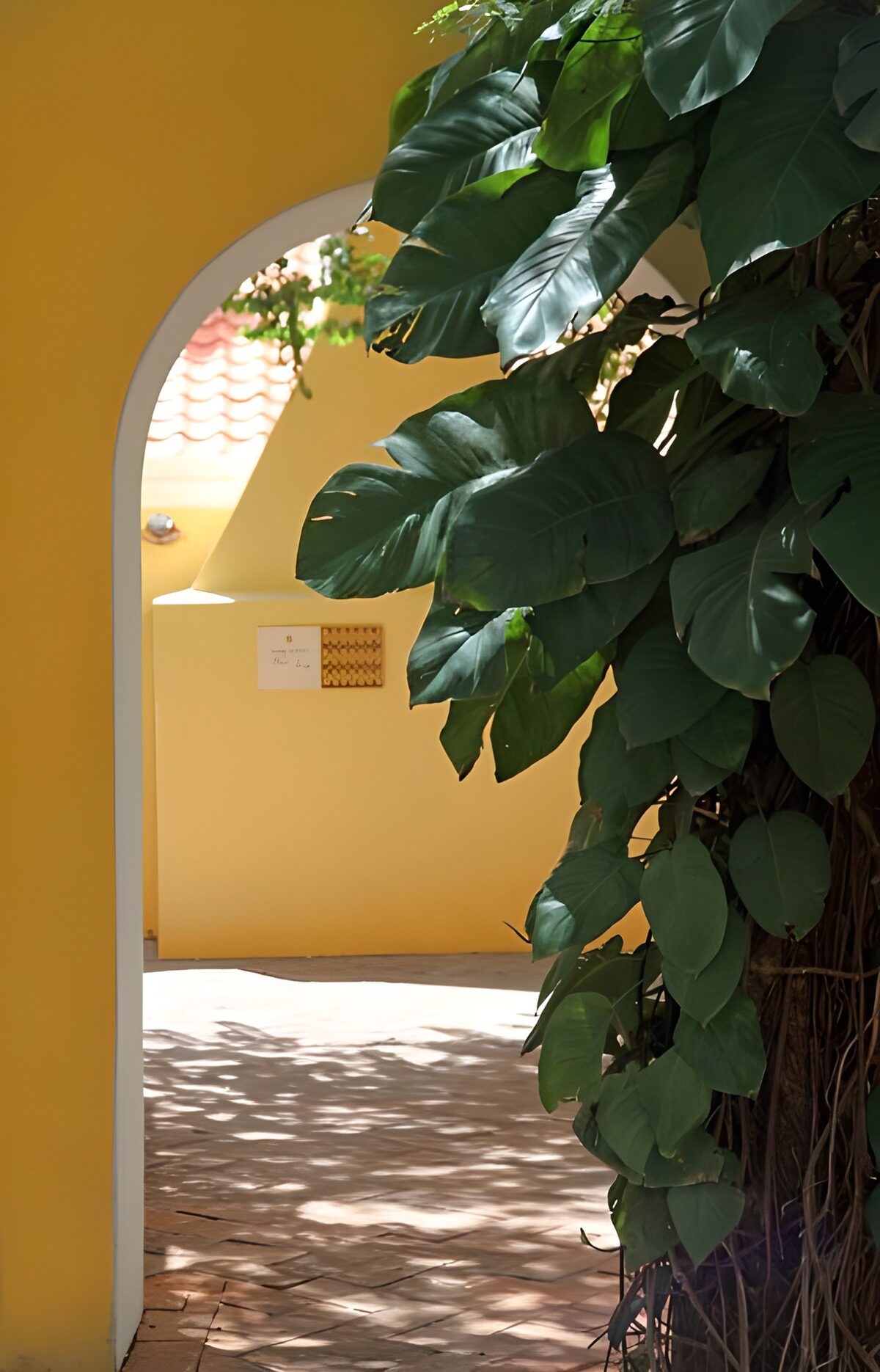 WCUK28666: Yellow walls with plant and a path