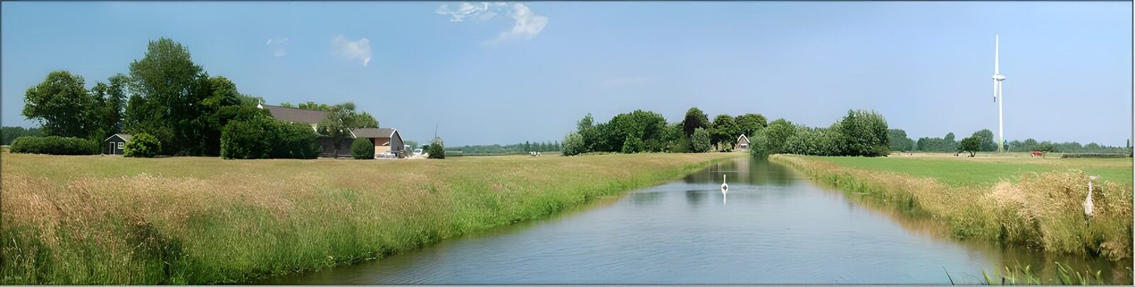 WCUK47500: Dutch meadow landscapes 10