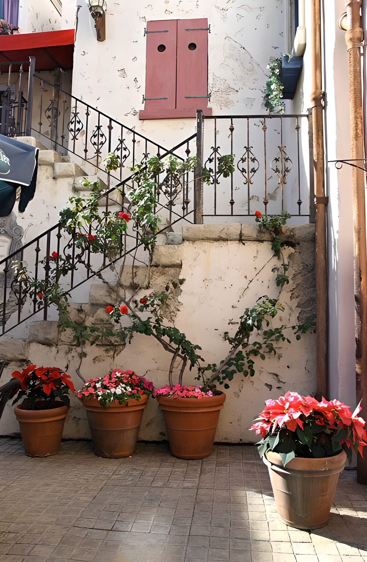 WCUK11531: Alms house with steps, with flowers and shutters of the house