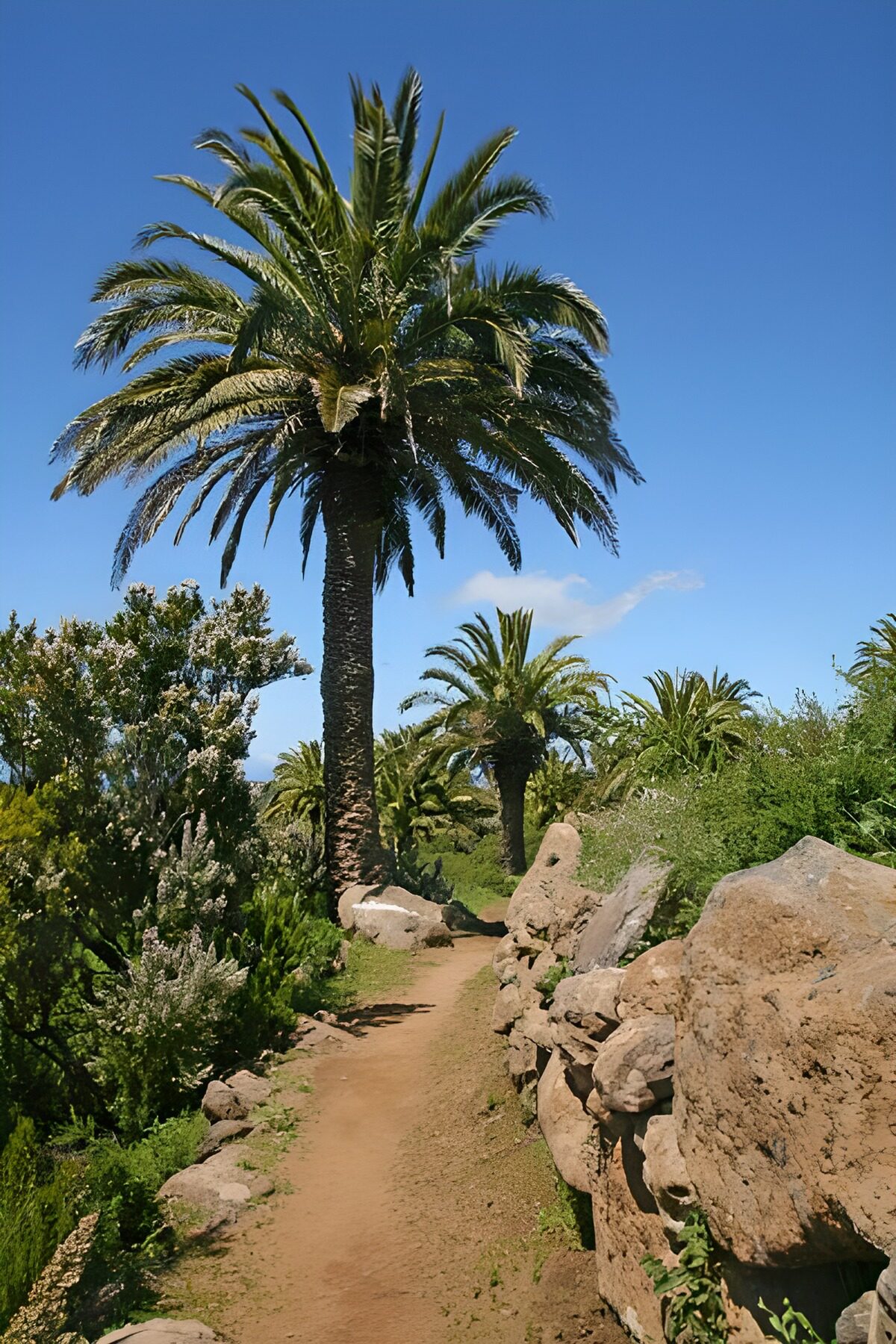 WCUK92945: La Gomera 40