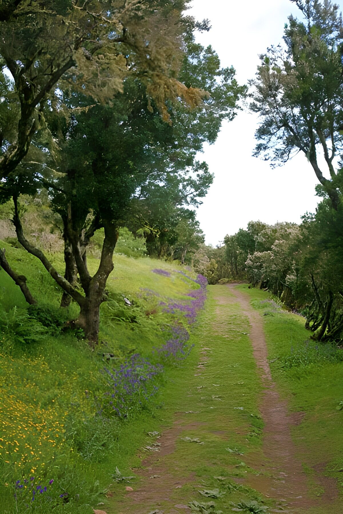 WCUK35207: La Gomera 3