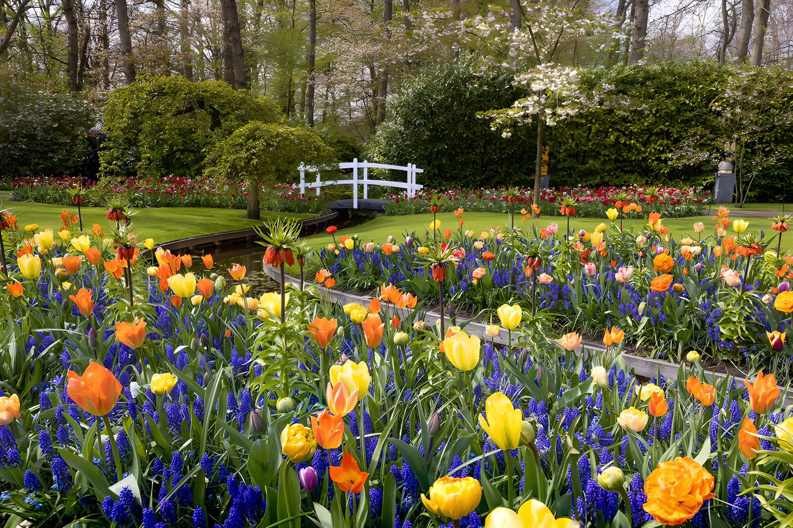 WCUK3584310