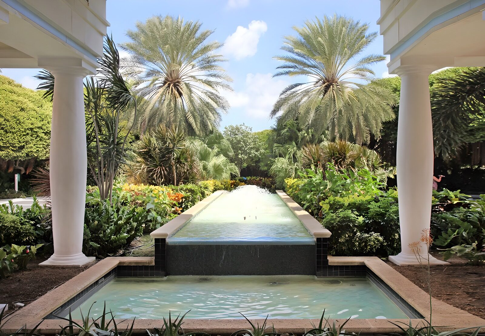 WCUK21449: View from hotel with 2 palm trees