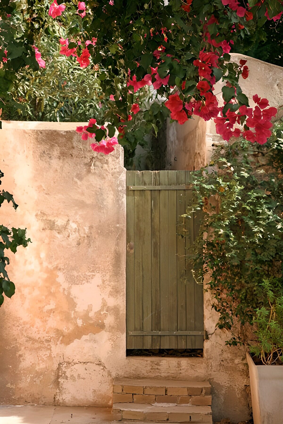 WCUK25767: Wooden door with wall and flowers 1