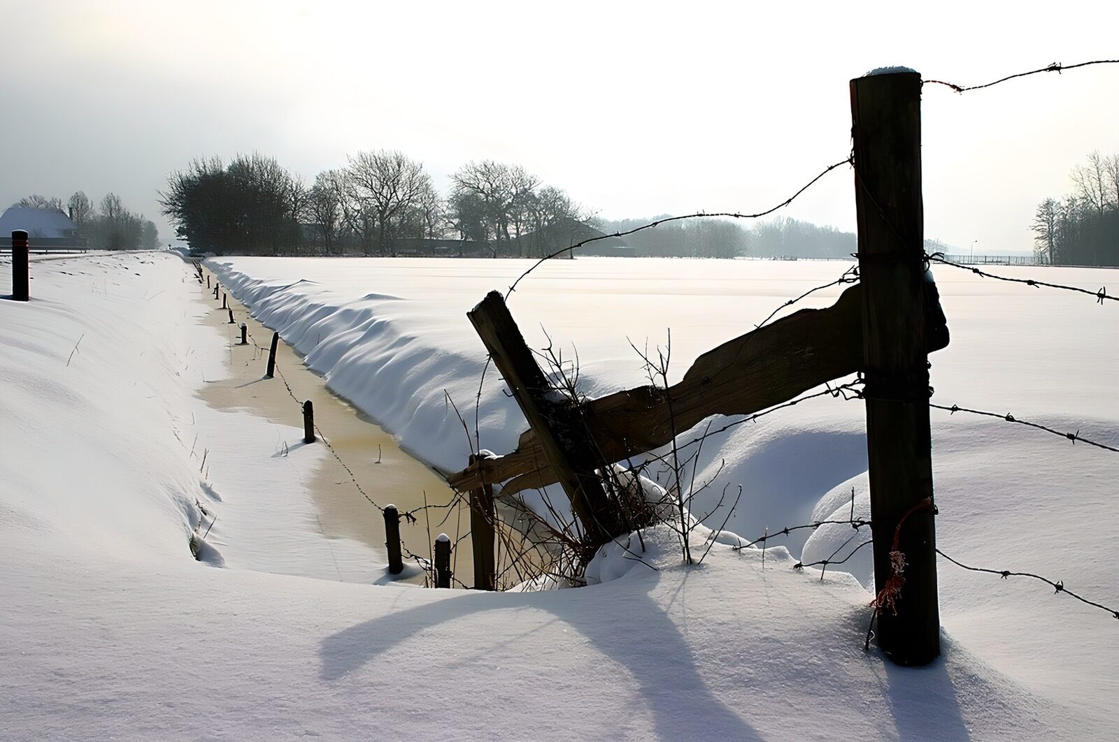 WCUK25761: 28403