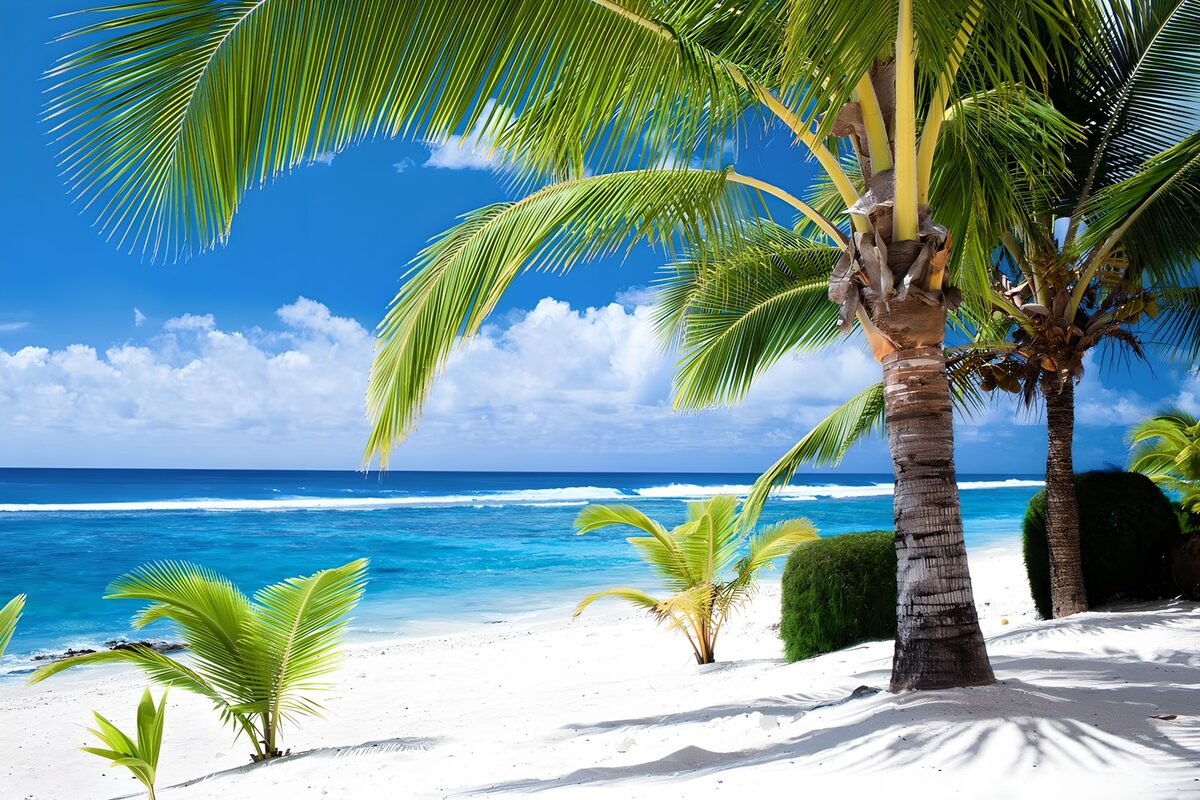 WCUK94871: 80181