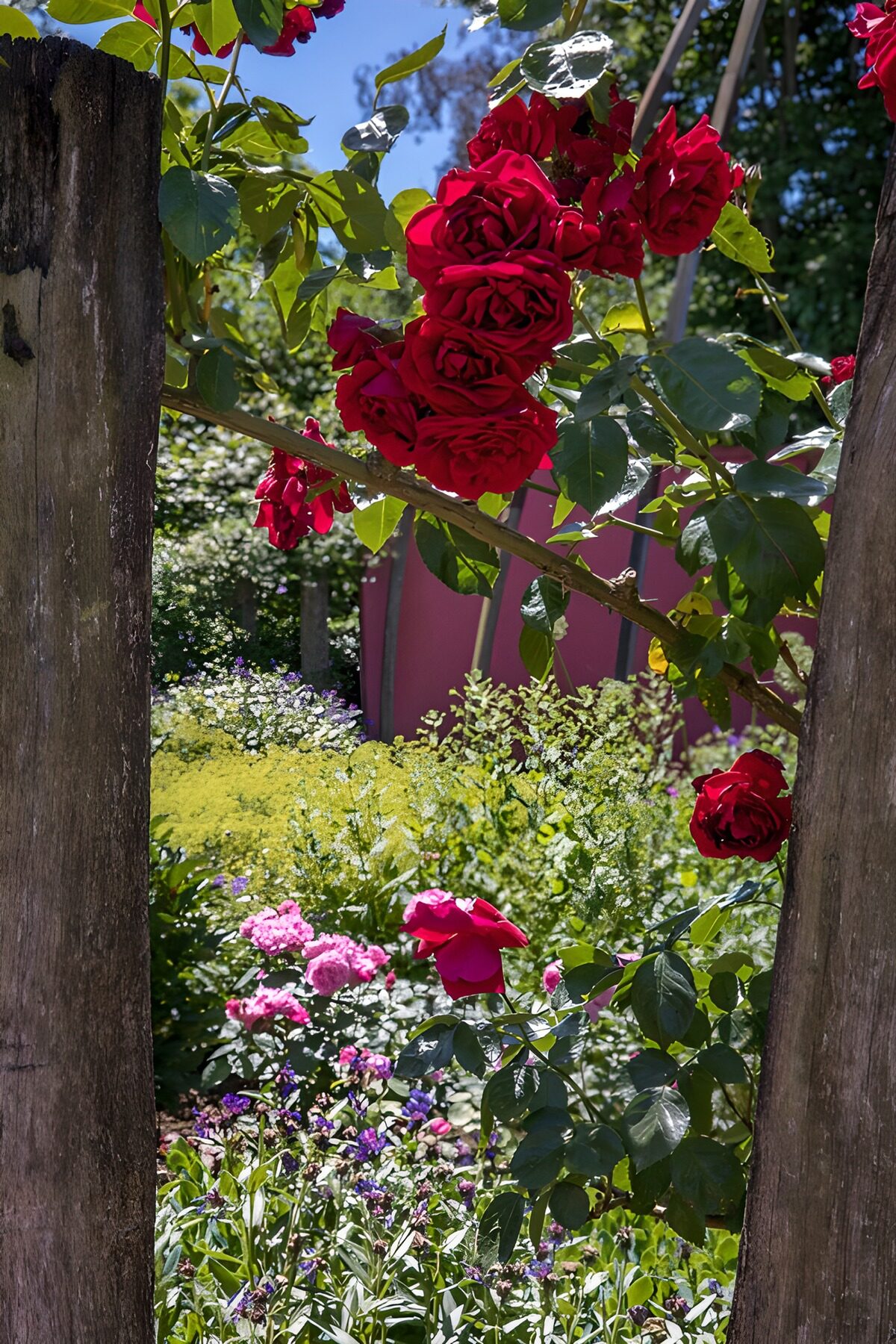WCUK6655745