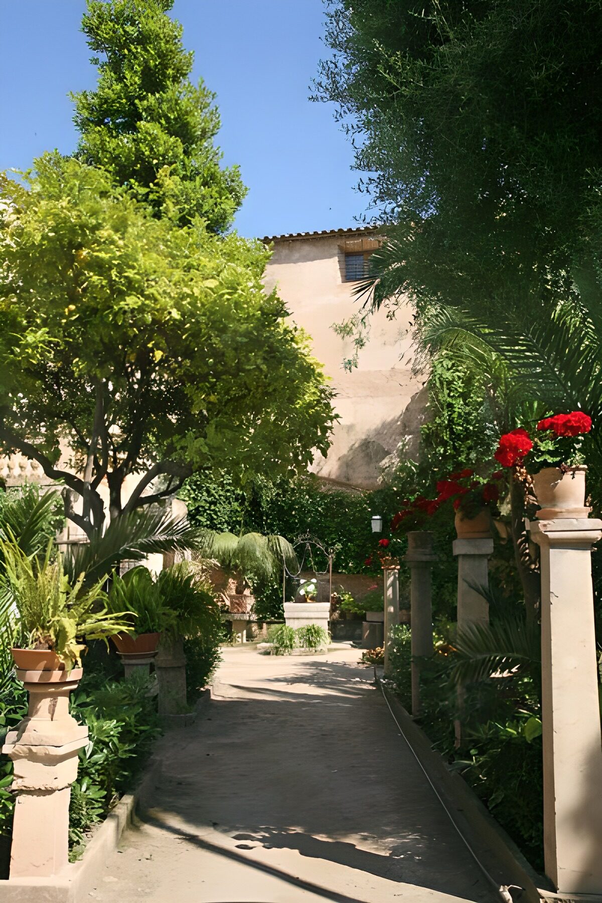 WCUK40492: Drive towards house with plants and trees 1