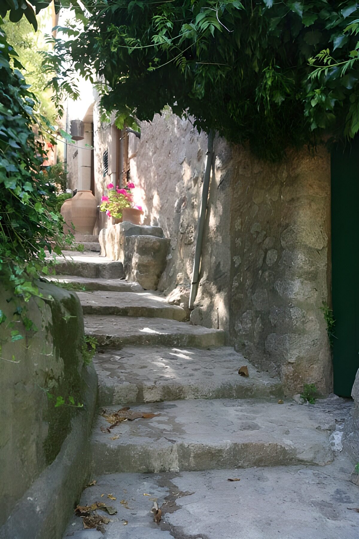WCUK65723: Small steps running along stone wall with hanging foliage 1