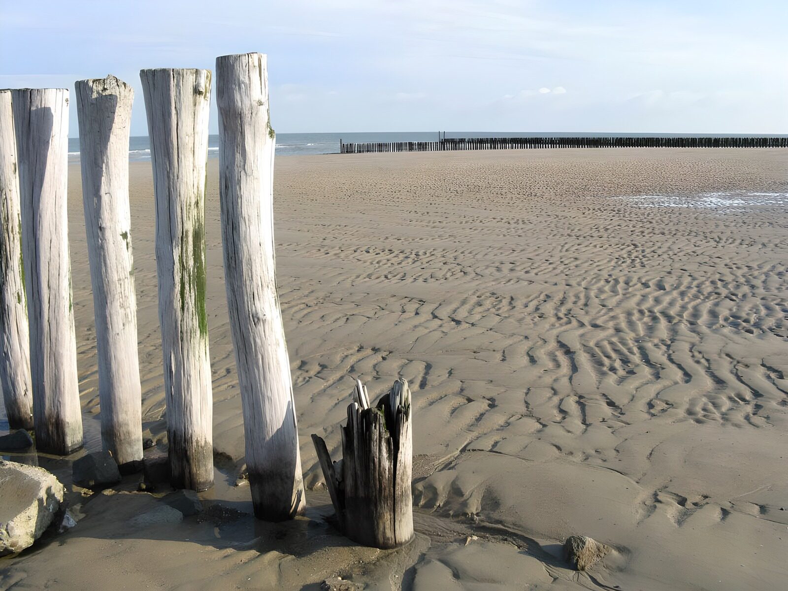 WCUK99174: Posts on the beach with a view on the sea