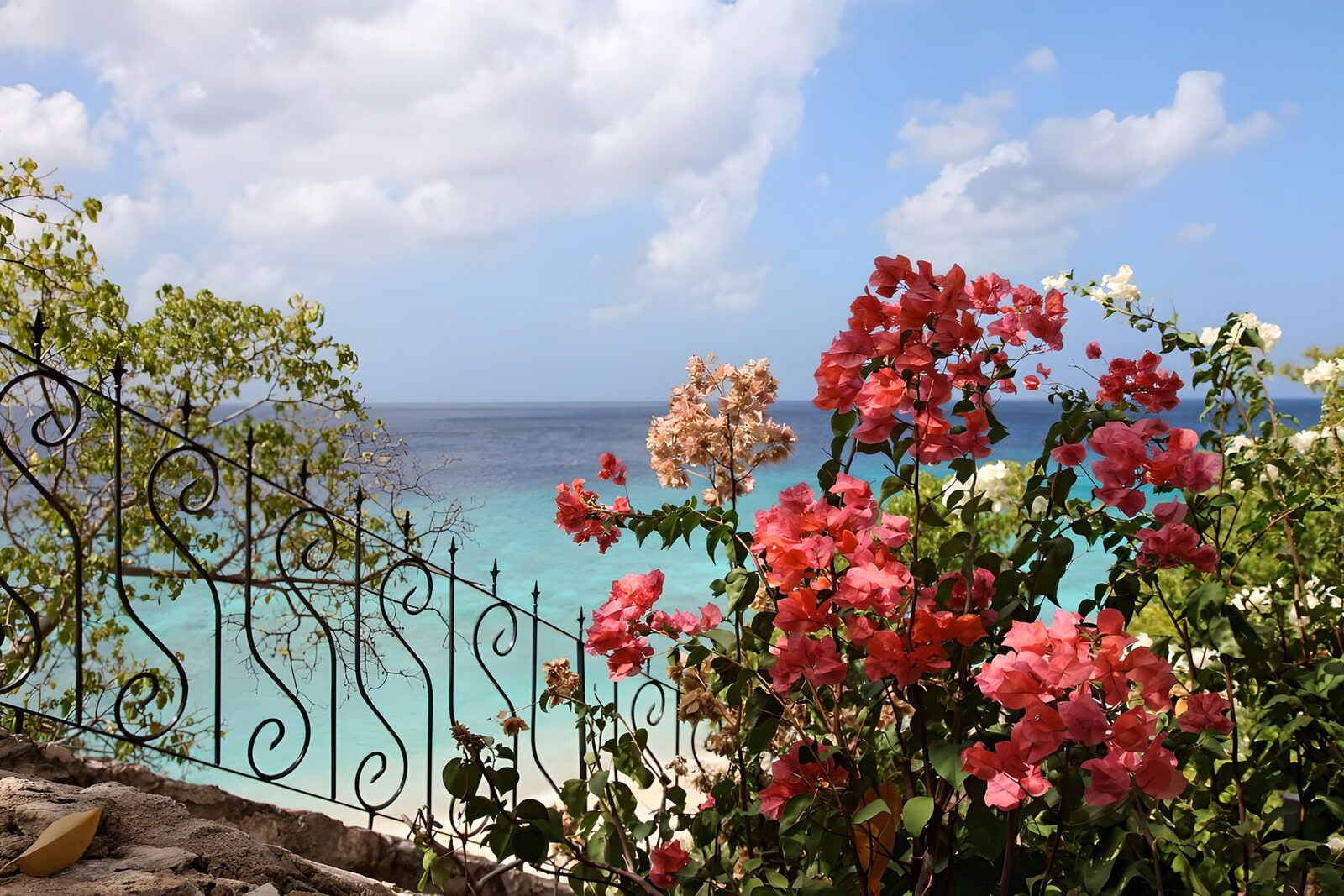 WCUK94352: View with flowers  over the Caribbean Sea