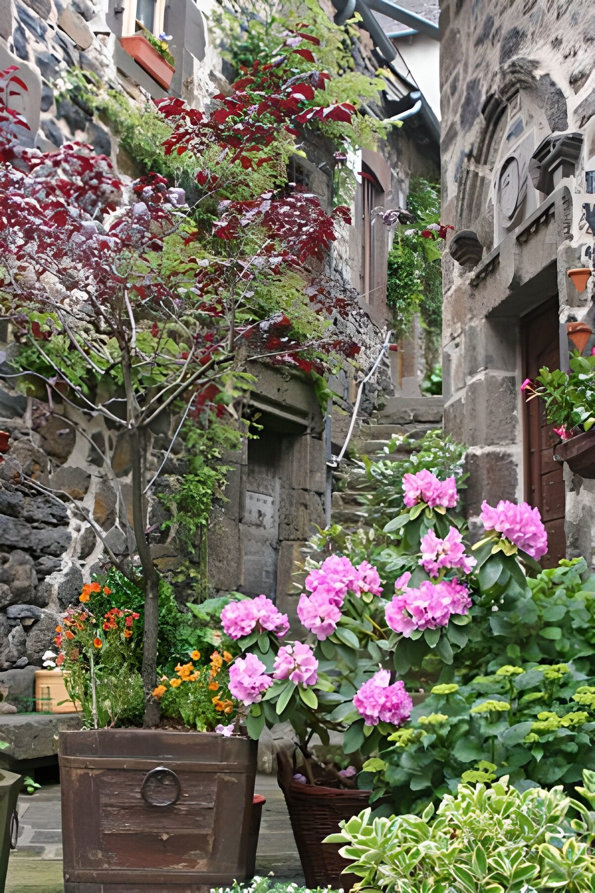WCUK72443: Old flowers pots with small trees and old house
