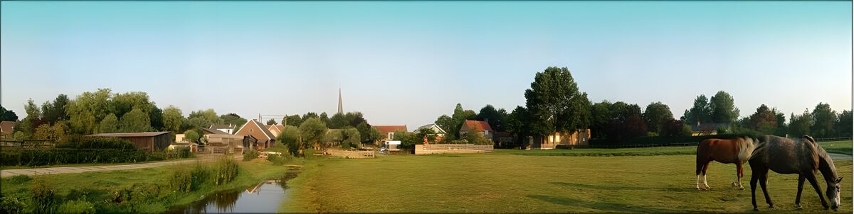 WCUK44177: Dutch meadow landscapes 8
