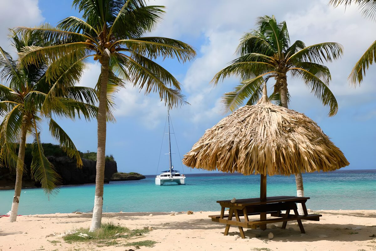 WCUK61224: Palm trees near beach with catamaran