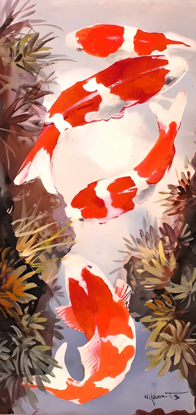 WCUK25390: Painted Koi carp 2
