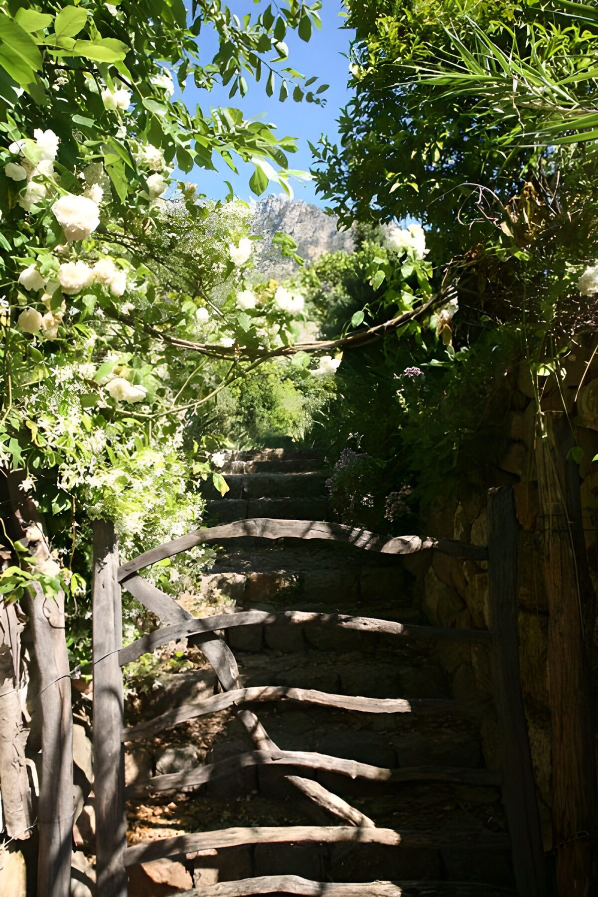 WCUK95433: Gate with ascending steps, hedges