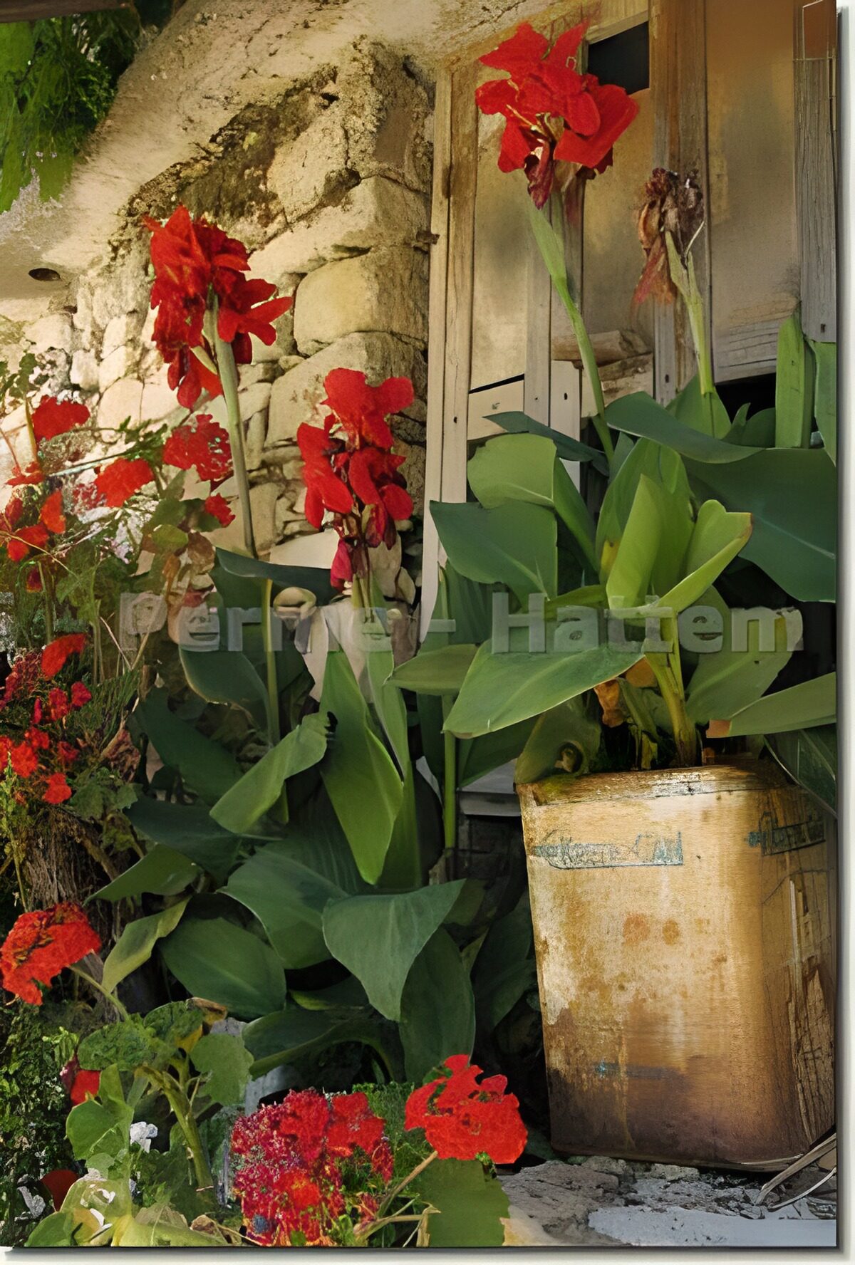Plants and flowers next to stone wall