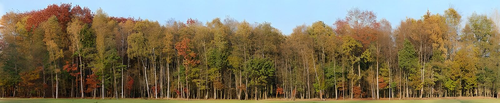 WCUK65662