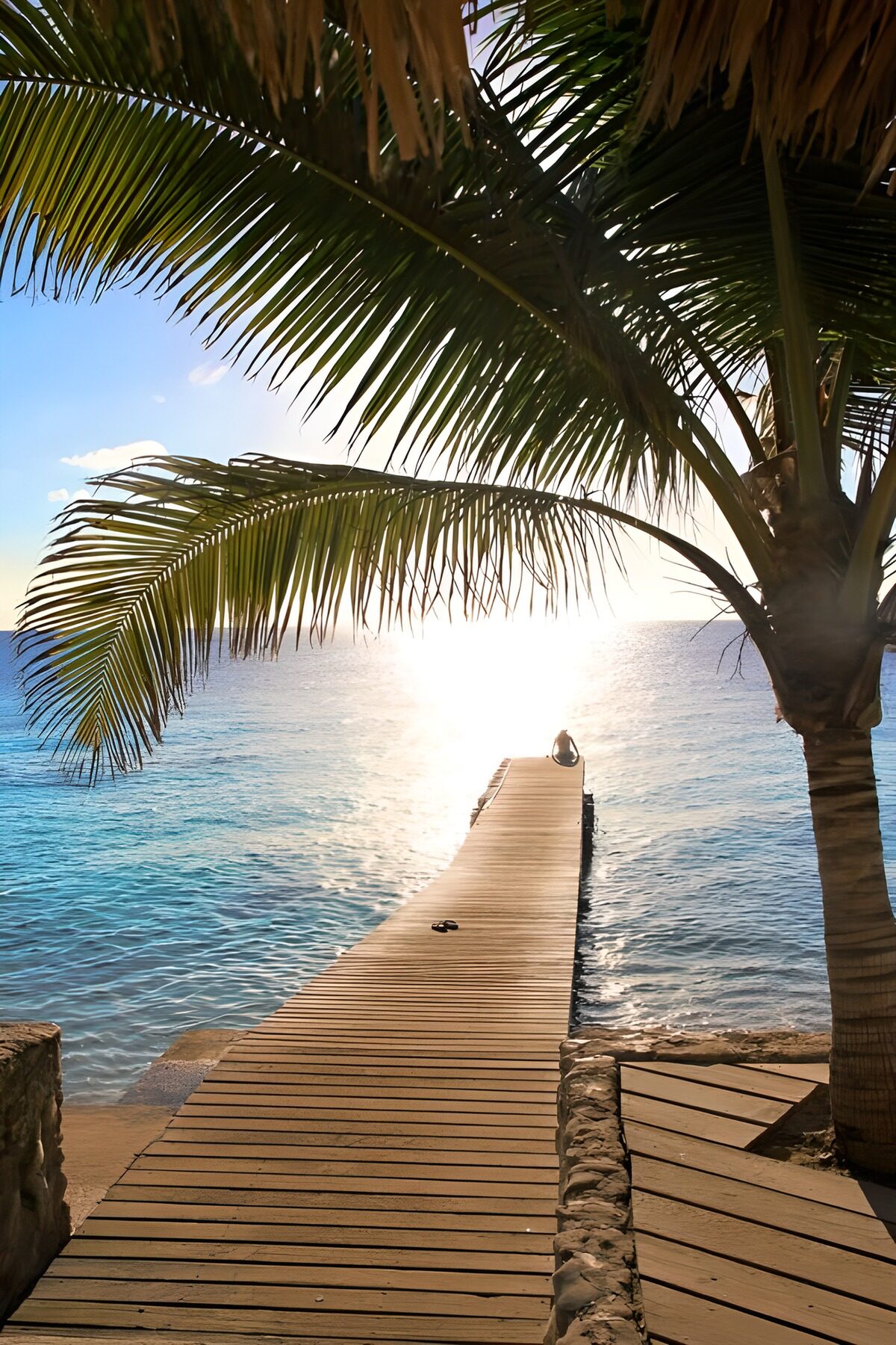 WCUK98238: Jetty in the sea with palm trees