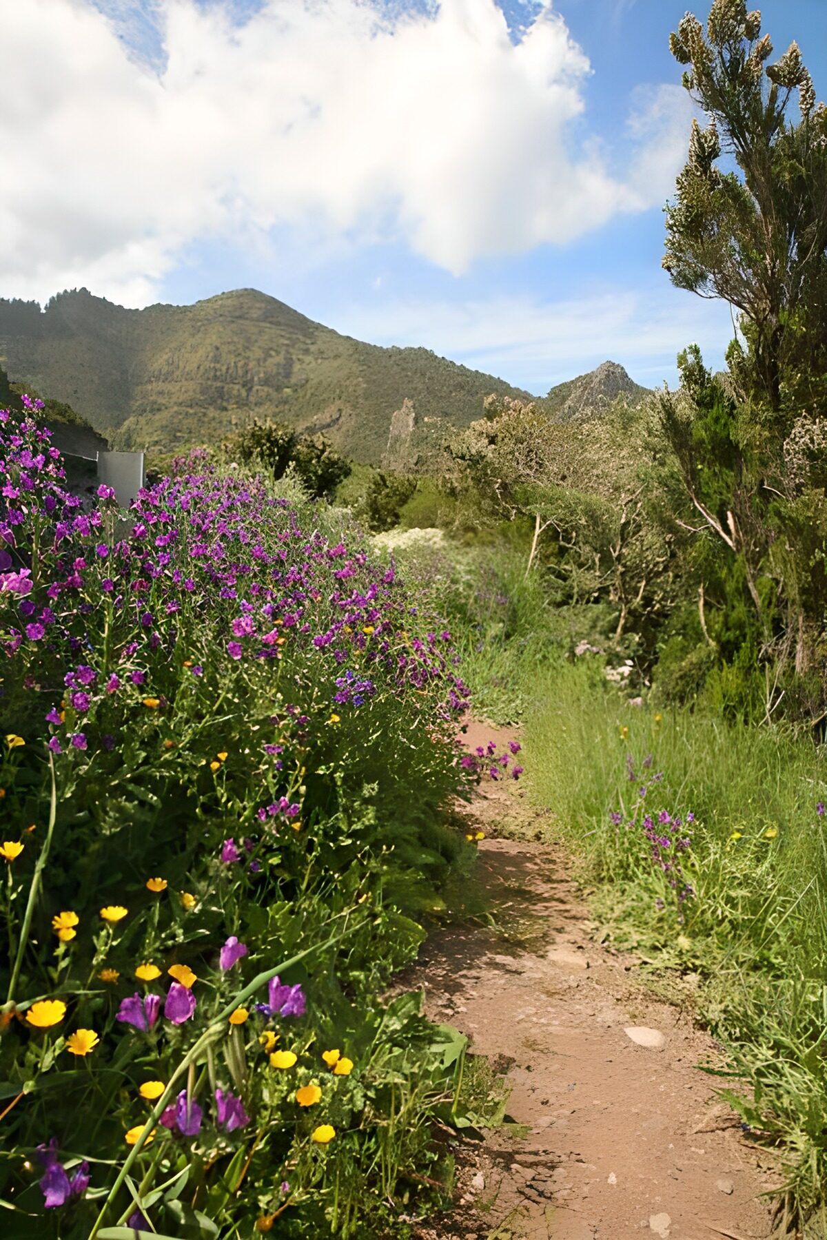 WCUK24472: La Gomera 23