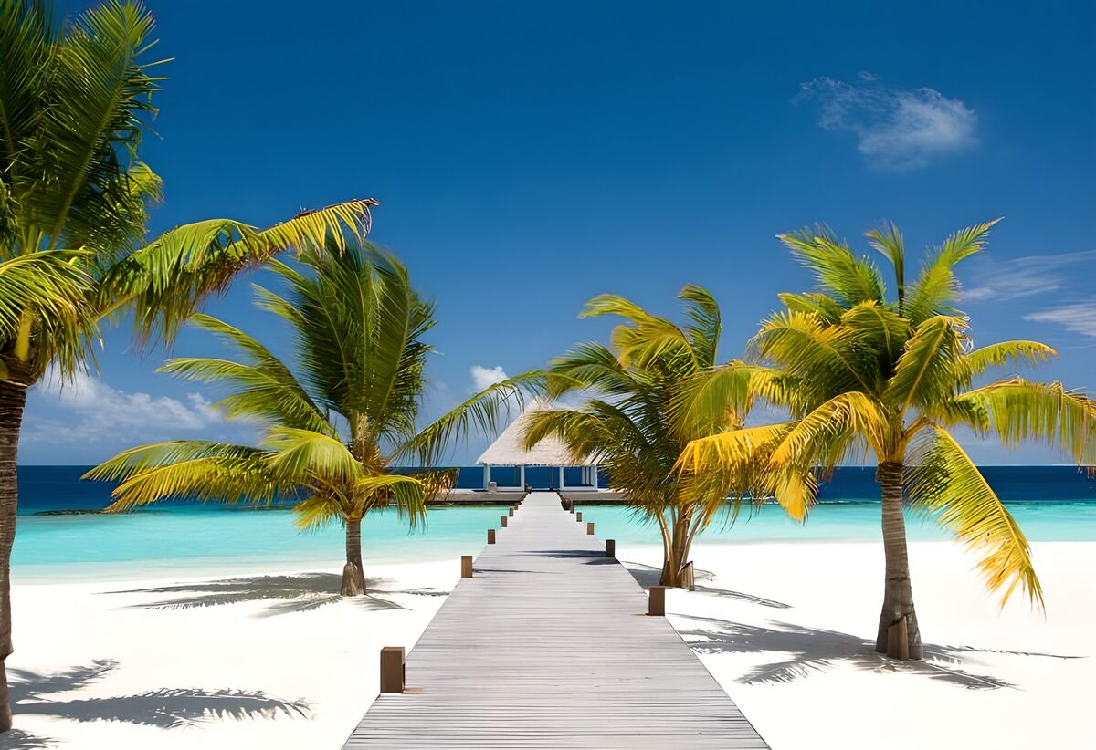 WCUK61712: Jetty at the Maldives with palm trees