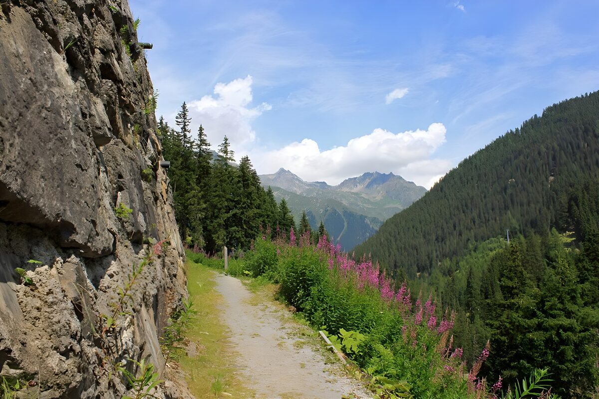Mountain path, panoramic view
