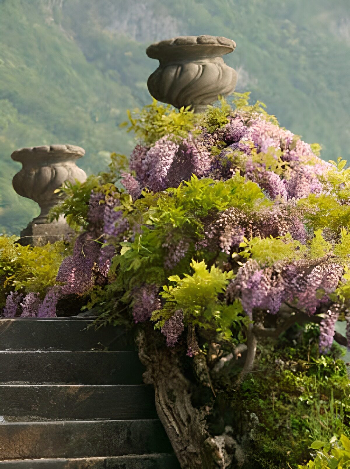 WCUK63680: Urn between Blue Wistera and ascending steps