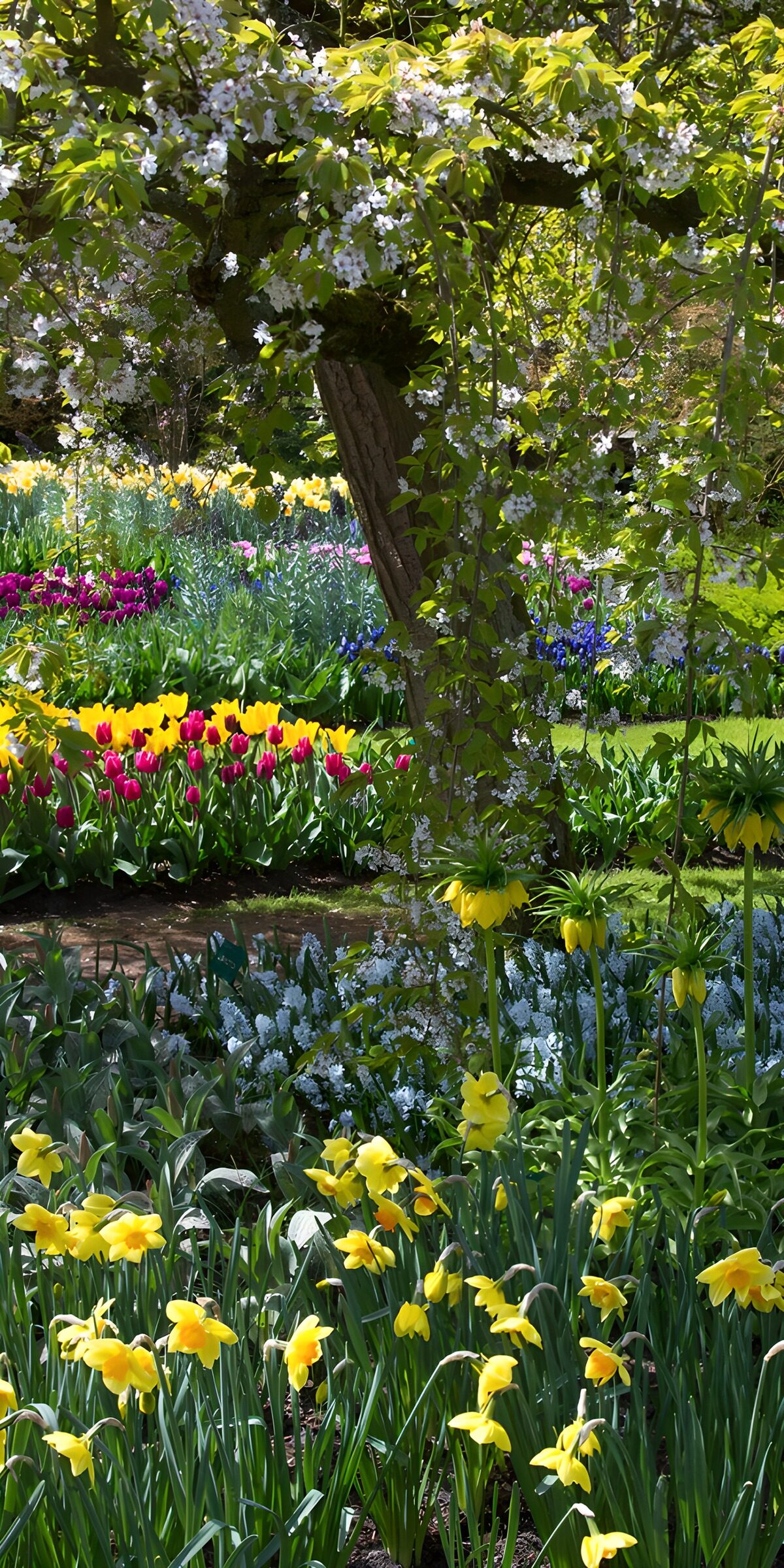 WCUK7700238