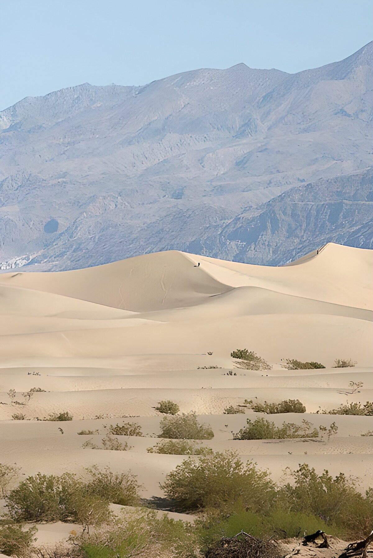WCUK76499: Desert , groundcover ,mountians
