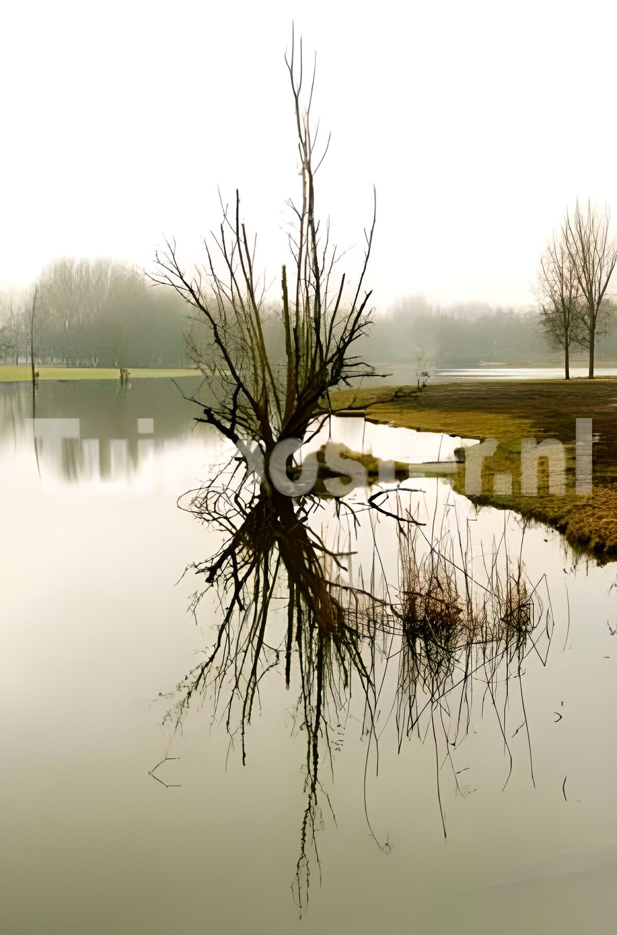 WCUK51406: Forest & Parks 2