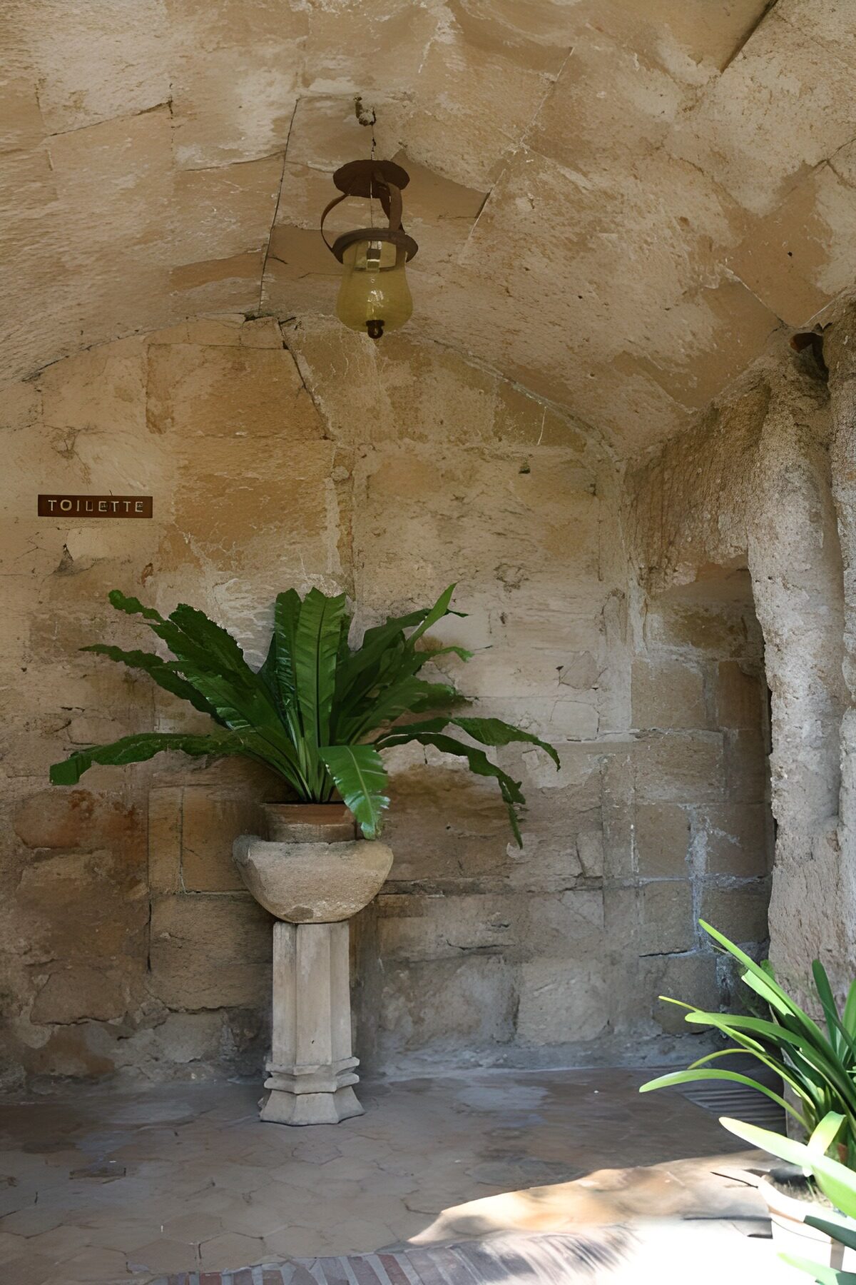 WCUK95968: Plant in  plant trough located in chapel with lantern
